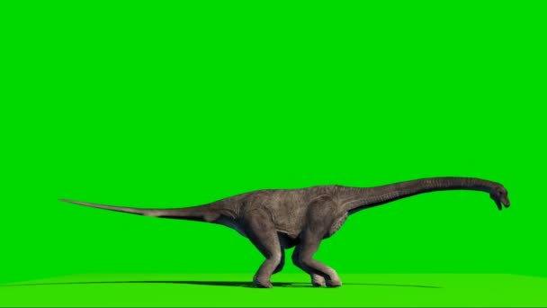 Брахіозавр Дивиться Зелений Екран — стокове відео