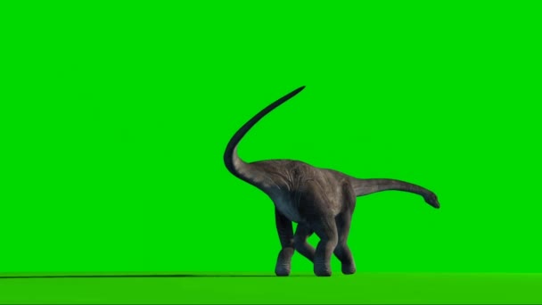 Brachiosaurus Olhando Para Tela Verde — Vídeo de Stock