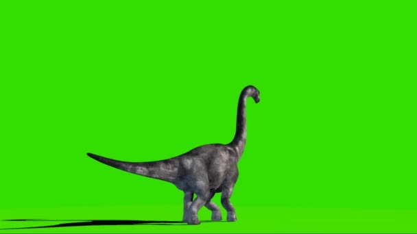 Brachiosaurus Roaring Green Screen — Stockvideo