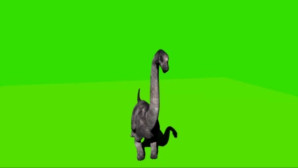 Brachiosaure Rugissant Sur Écran Vert — Video