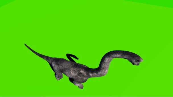 Brachiosaurus Roaring Green Screen — Stock Video