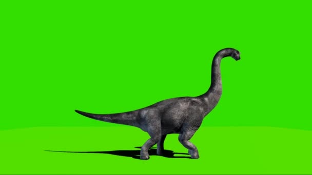 Brachiosaurus Rugiendo Pantalla Verde — Vídeo de stock