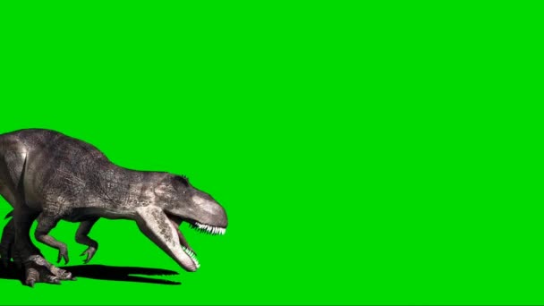 Giganotosaurus Roaring Green Screen — Stockvideo