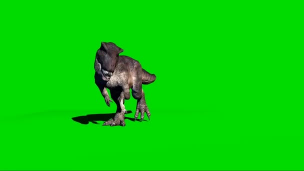 Giganotosaurus Walking Green Screen — Video