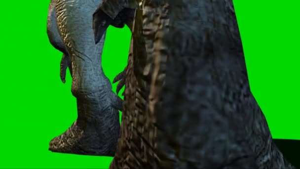 Гиганотозавр Ходит Зеленому Экрану — стоковое видео