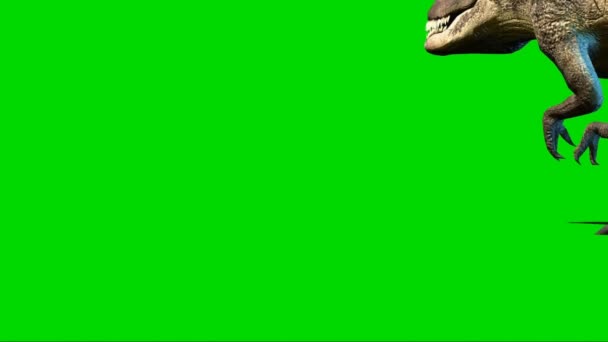 Giganotosaurus Walking Green Screen — Vídeo de Stock