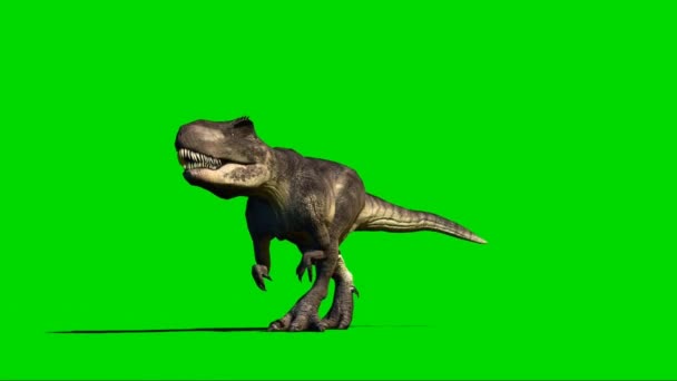 Giganotosaurus Wandelt Auf Grünem Bildschirm — Stockvideo