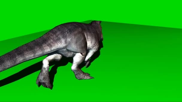 Giganotosaurus Wandelen Groen Scherm — Stockvideo
