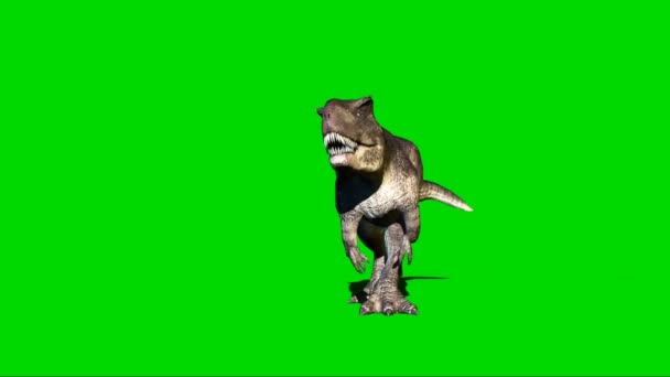 Giganotosauro Che Cammina Sullo Schermo Verde — Video Stock