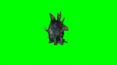 Stegosaurus Attacking on Green Screen