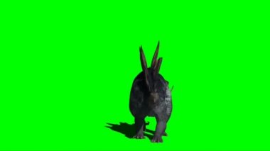 Stegosaurus Yeşil Ekranda Yürüyor