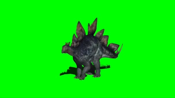 Stegosaurus Atacando Tela Verde — Vídeo de Stock