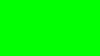 Triceratops Attacking on Green Screen