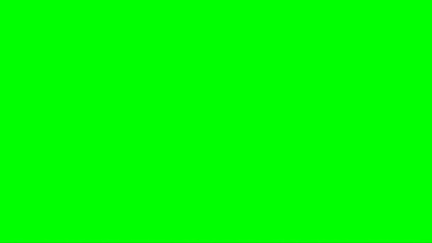 Triceratops Attacking Green Screen — Stock Video