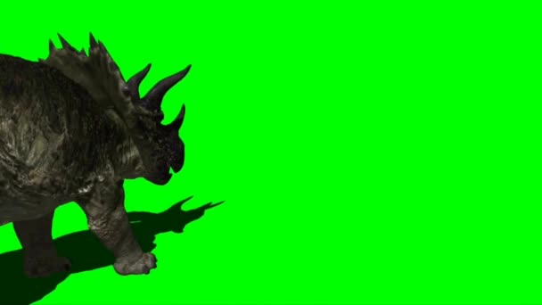 Triceratops Atacando Tela Verde — Vídeo de Stock
