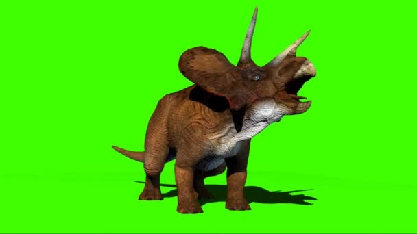 Triceratops Roaring Green Screen — Vídeo de Stock