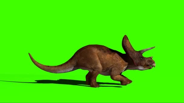 Triceratops Running Green Screen — Vídeo de Stock