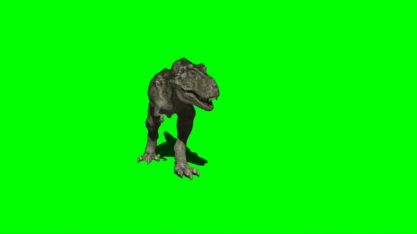 Tyrannosaurus Rex Attackering Grön Skärm — Stockvideo