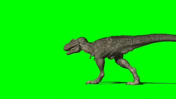 Тираннозавр Рекс Атакует Зеленый Экран — стоковое видео