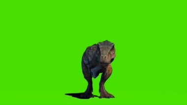 Tyrannosaurus rex Looking on Green Screen