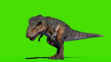 Tyrannosaurus rex Yeşil Ekran 'a bakıyor