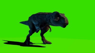 Tyrannosaurus rex Looking on Green Screen