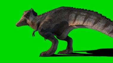 Tyrannosaurus rex Yeşil Ekran 'da kükrüyor