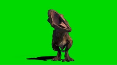 Tyrannosaurus rex Yeşil Ekran 'da kükrüyor