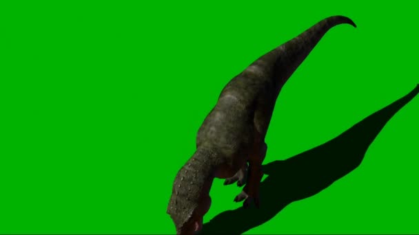 Tyrannosaurus Rex Manger Sur Écran Vert — Video
