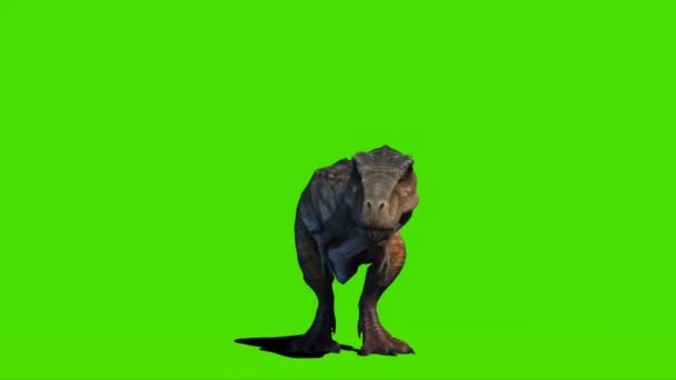 Tyrannosaurus Rex Looking Green Screen — 图库视频影像