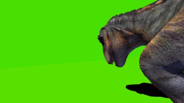 Tyrannosaurus Rex Mirando Pantalla Verde — Vídeo de stock