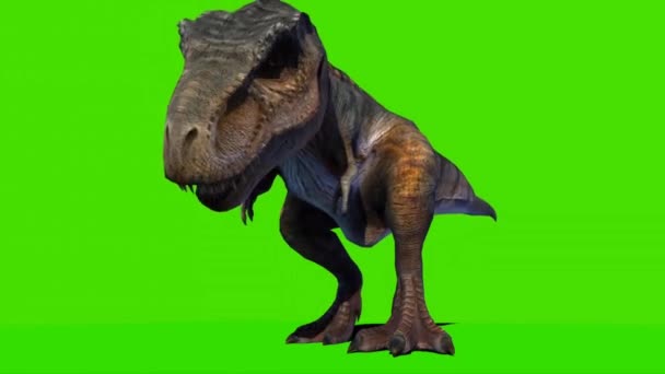 Tyrannosaurus Rex Looking Green Screen — Video