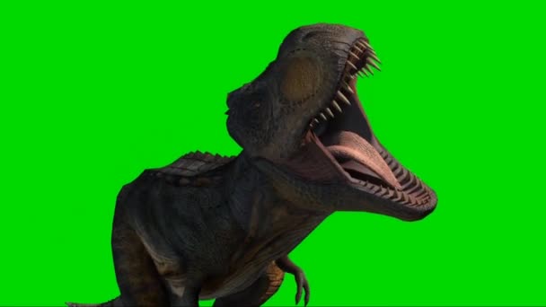 Tyrannosaurus Rex Rugiendo Pantalla Verde — Vídeos de Stock