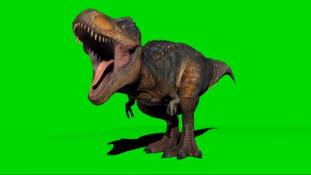Tyrannosaurus Rex Βρυχάται Στην Πράσινη Οθόνη — Αρχείο Βίντεο