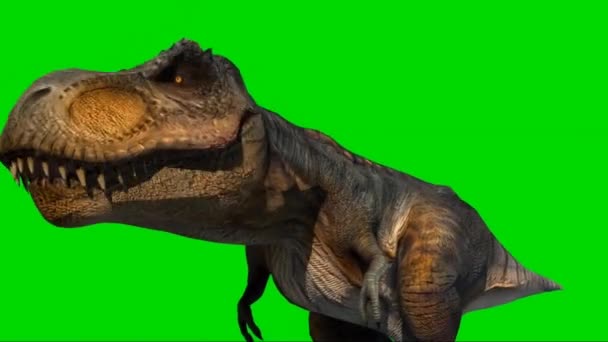 Tyrannosaurus Rex Roaring Grön Skärm — Stockvideo