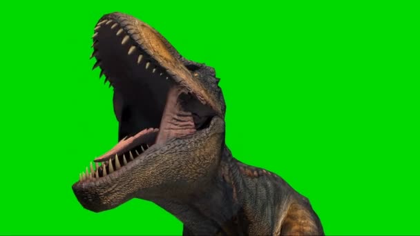 Tyrannosaurus Rex Rugiendo Pantalla Verde — Vídeo de stock