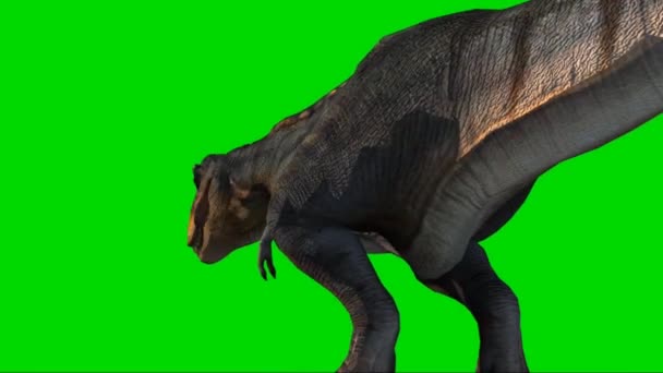 Angry T-Rex Runcycle Green Screen Close , Stock Video