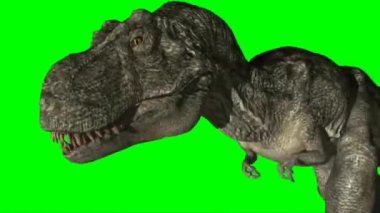 Tyrannosaurus rex Yeşil Ekran 'da çalışıyor