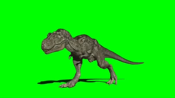 ティラノサウルスレックスグリーンスクリーンで走る — ストック動画