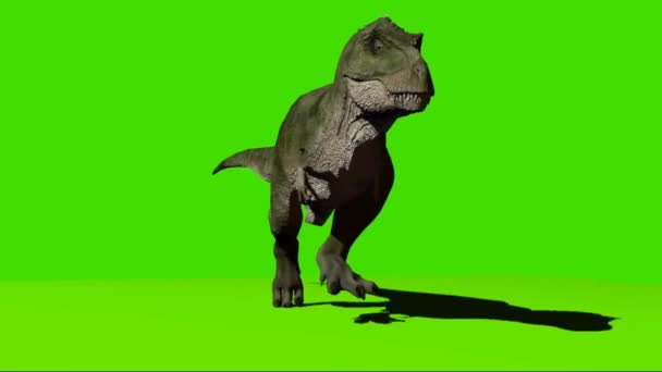 Tyrannosaurus Rex Springa Grön Skärm — Stockvideo
