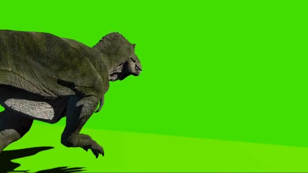 Tyrannosaurus Rex Courir Sur Écran Vert — Video