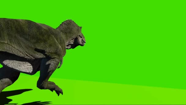 Tyrannosaurus Rex Draait Groen Scherm — Stockvideo