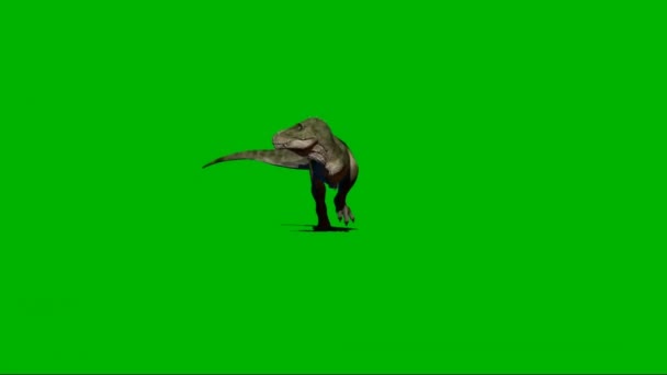 Tyrannosaurus Rex Springa Grön Skärm — Stockvideo