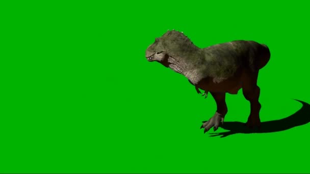 Tiranossauro Rex Rodando Tela Verde — Vídeo de Stock