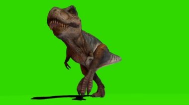 Tyrannosaurus rex Yeşil Ekranda Yürüyor