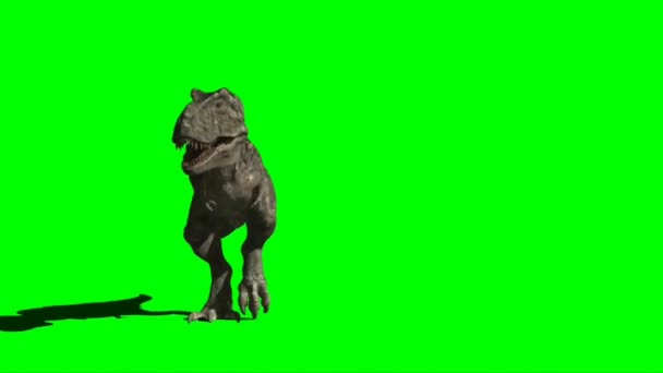 Тиранозавр Рекс Йде Зеленому Екрані — стокове відео