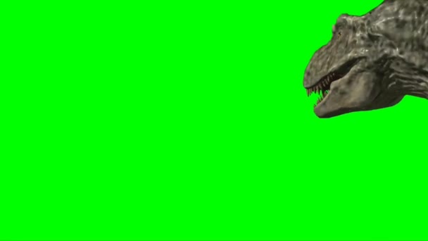 Tyrannosaurus Rex Promenader Grön Skärm — Stockvideo