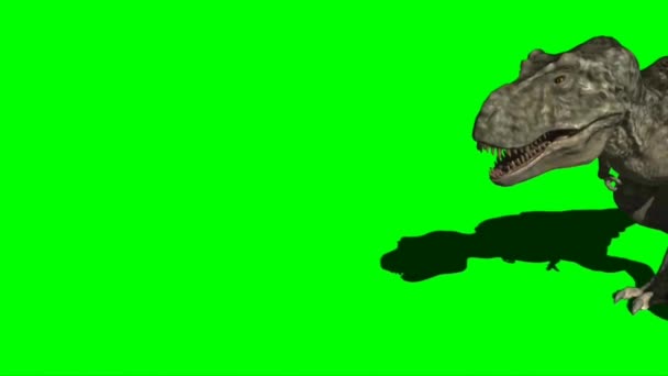 霸王龙在绿色屏幕上行走 — 图库视频影像