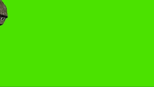霸王龙在绿色屏幕上行走 — 图库视频影像