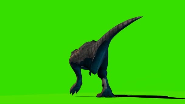 Tyrannosaurus Rex Yeşil Ekranda Yürüyor — Stok video